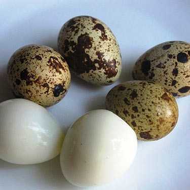 Яйцо перепелиное Shohona Oilaviy Restoran